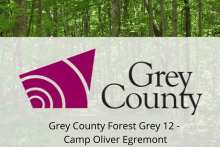 Grey County Forest 12 - Camp Oliver Egremont